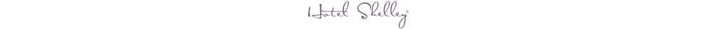 Shelley Hotel Miami Beach Logo fotografie